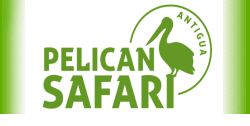 Pelican Safari Tours Antigua